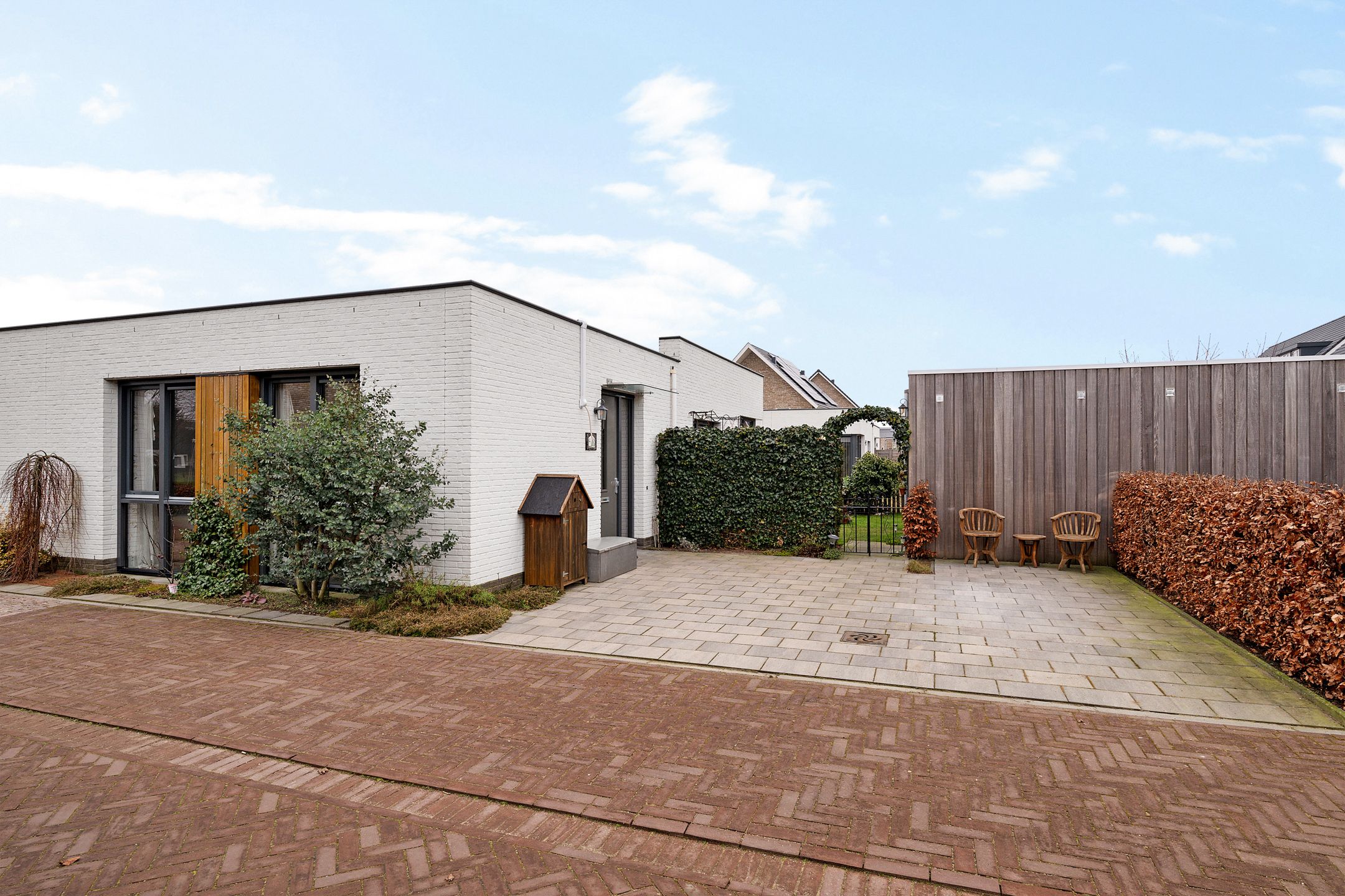 Photo 6 of Teunisbloem 4