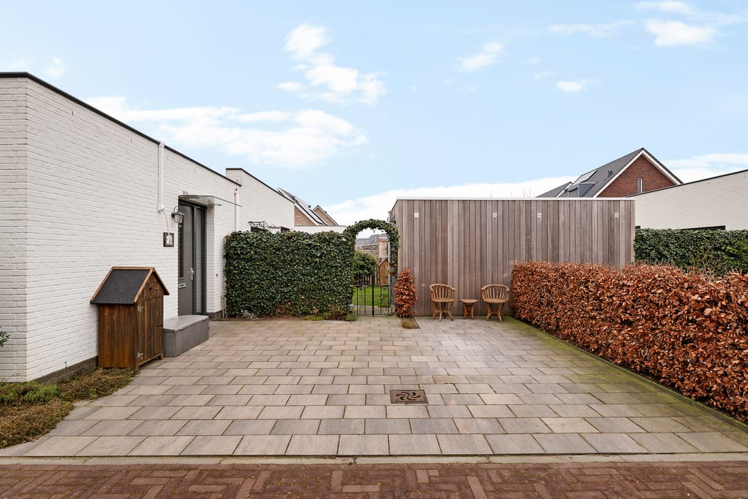 Photo 7 of Teunisbloem 4