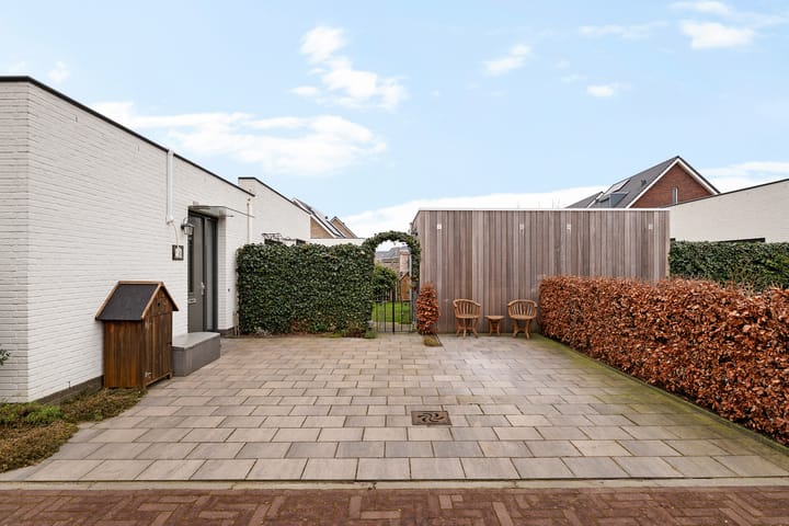 Photo 7 of Teunisbloem 4