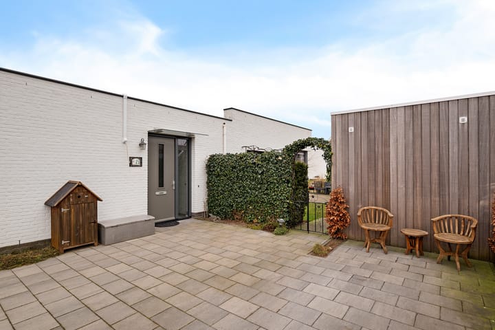 Photo 8 of Teunisbloem 4