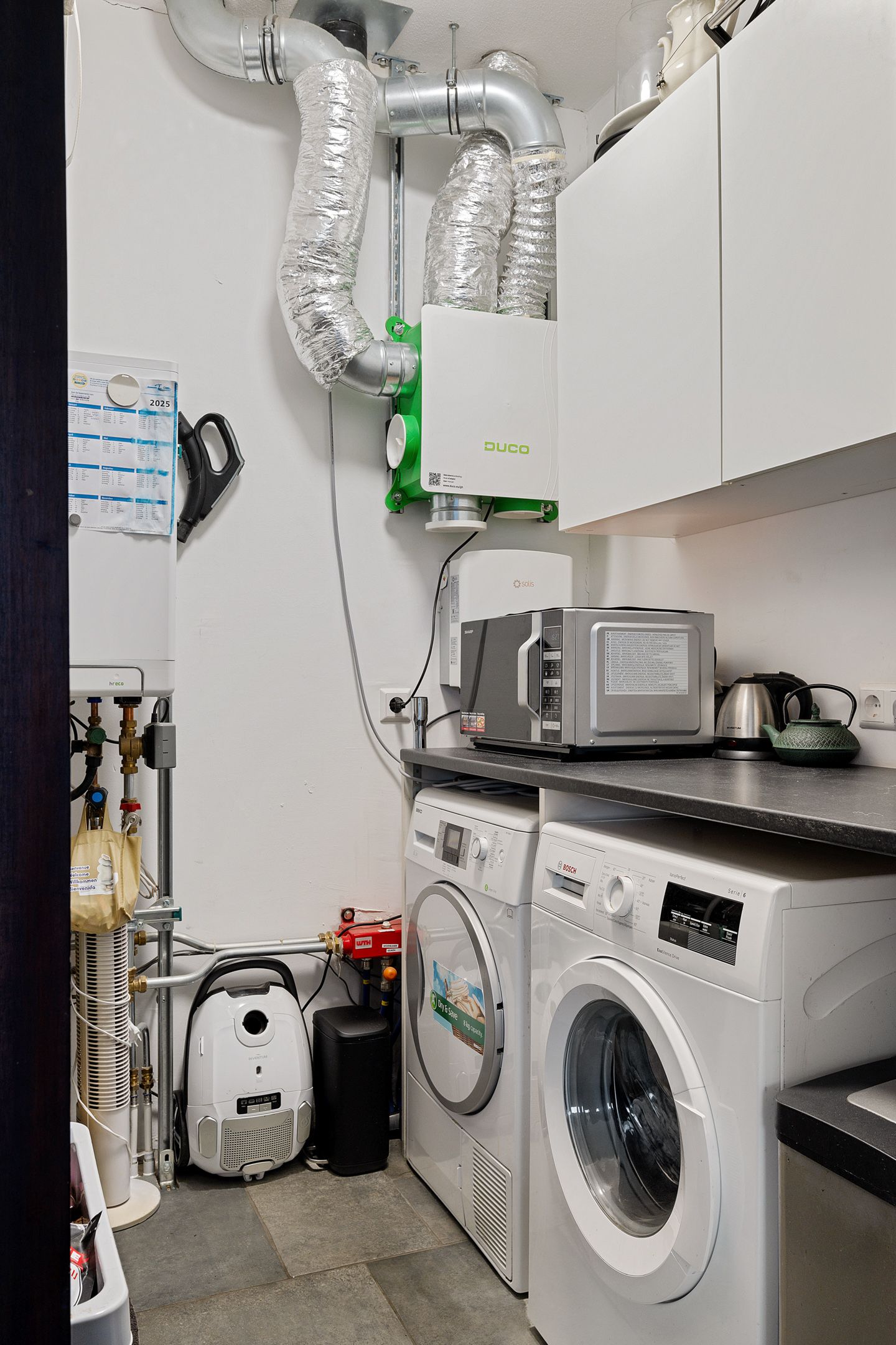 Photo 29 of Teunisbloem 4