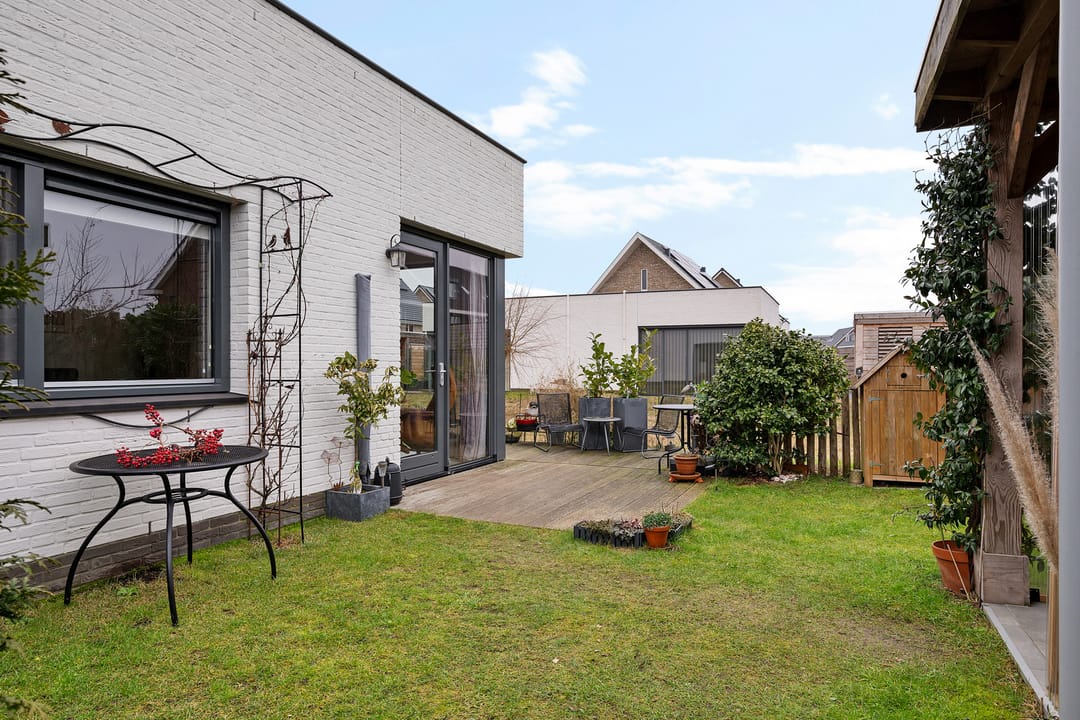 Photo 31 of Teunisbloem 4