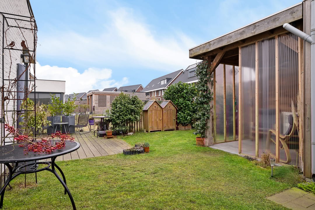 Photo 32 of Teunisbloem 4