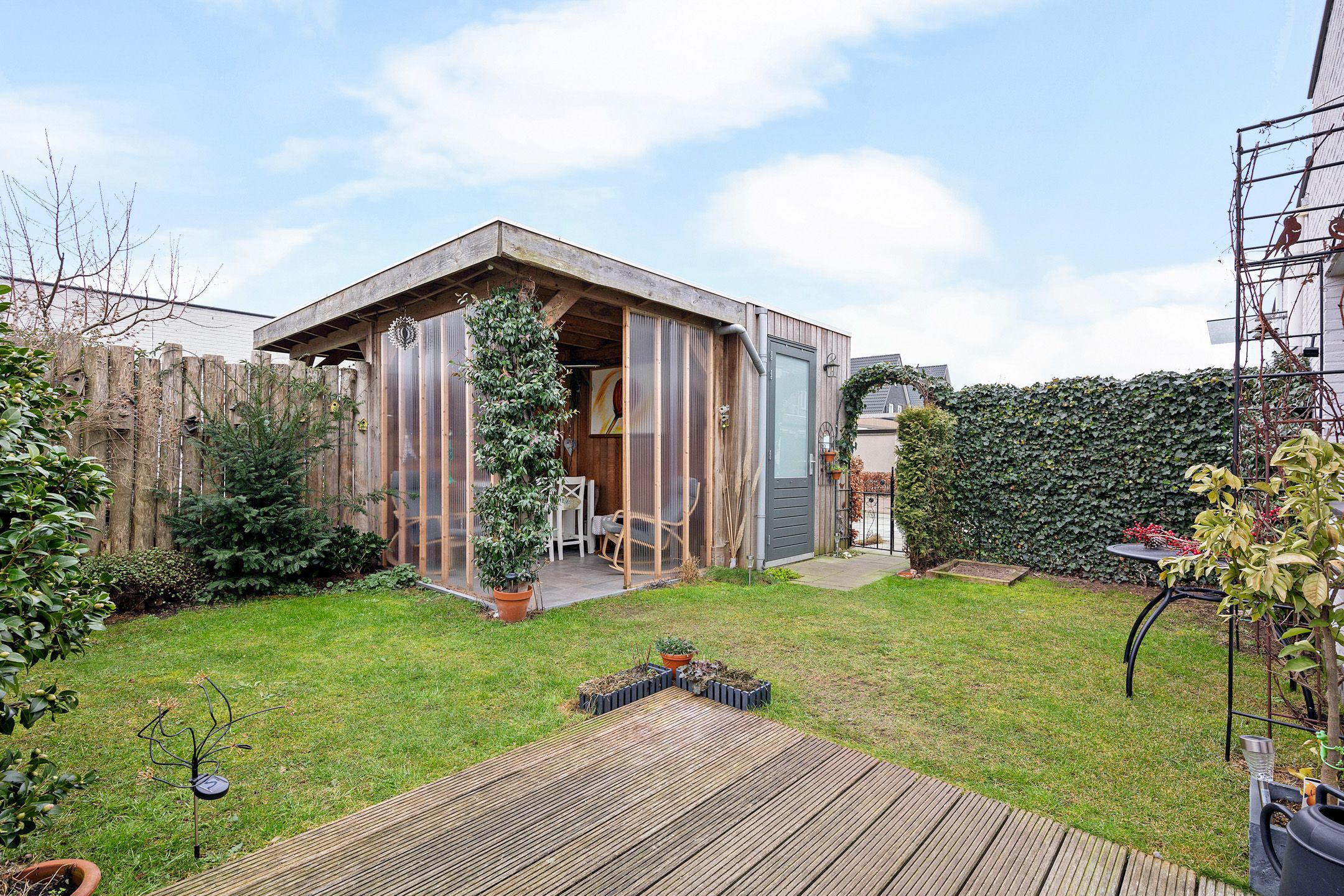 Photo 33 of Teunisbloem 4