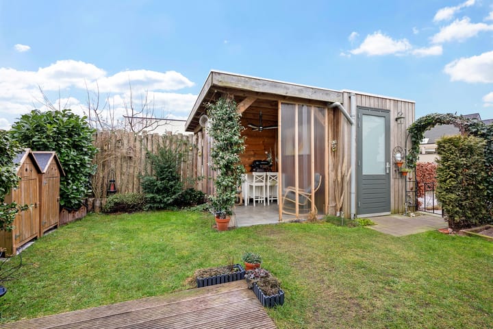 Photo 37 of Teunisbloem 4