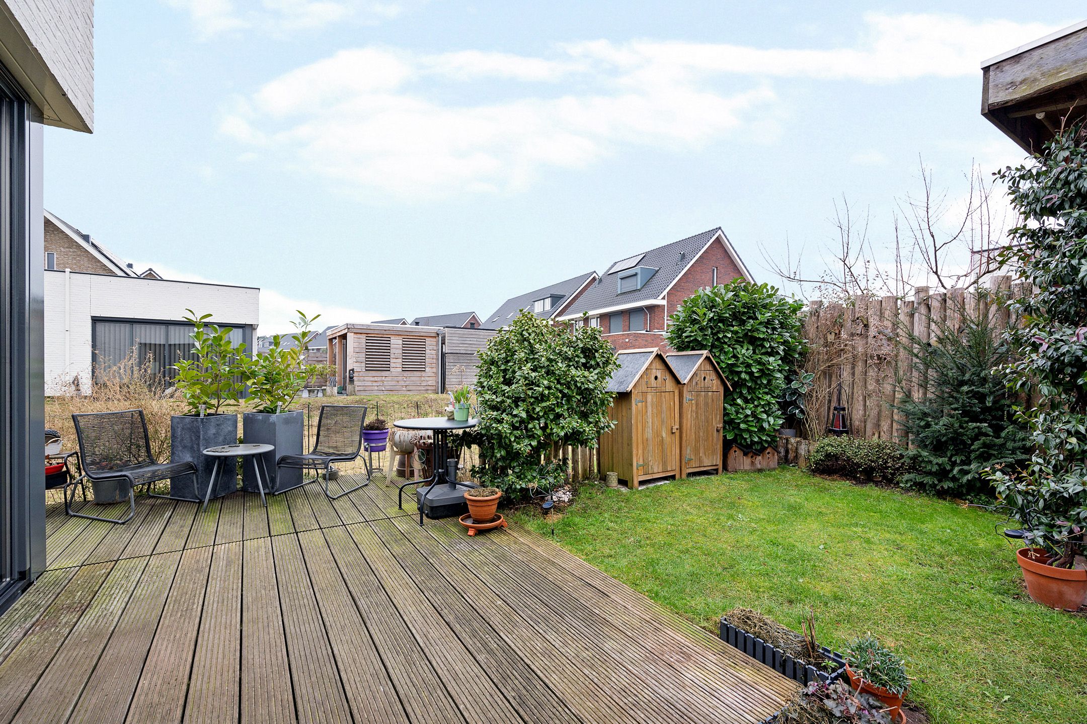 Photo 36 of Teunisbloem 4