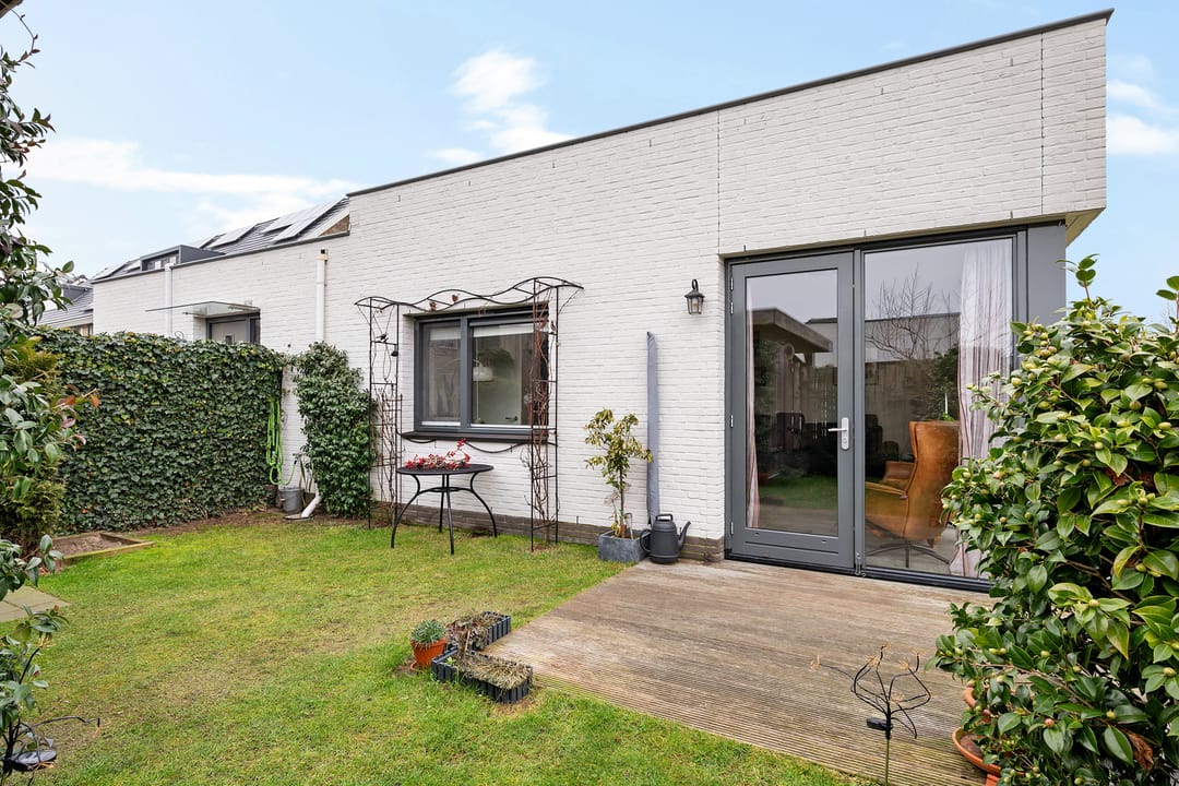 Photo 37 of Teunisbloem 4