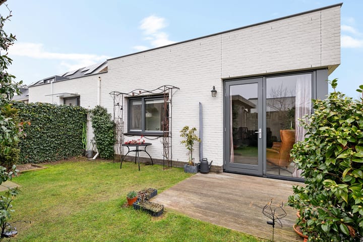 Photo 40 of Teunisbloem 4