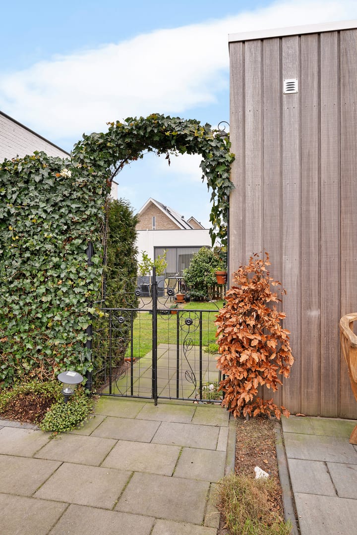 Photo 41 of Teunisbloem 4