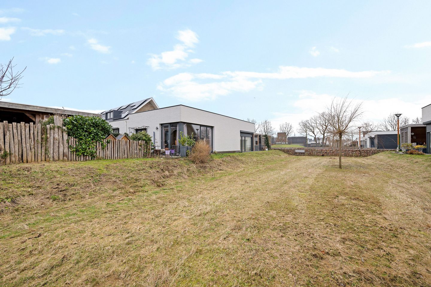 Photo 40 of Teunisbloem 4