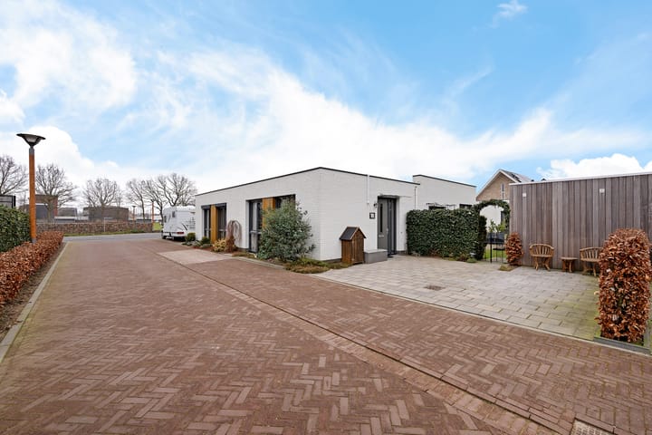 Photo 44 of Teunisbloem 4