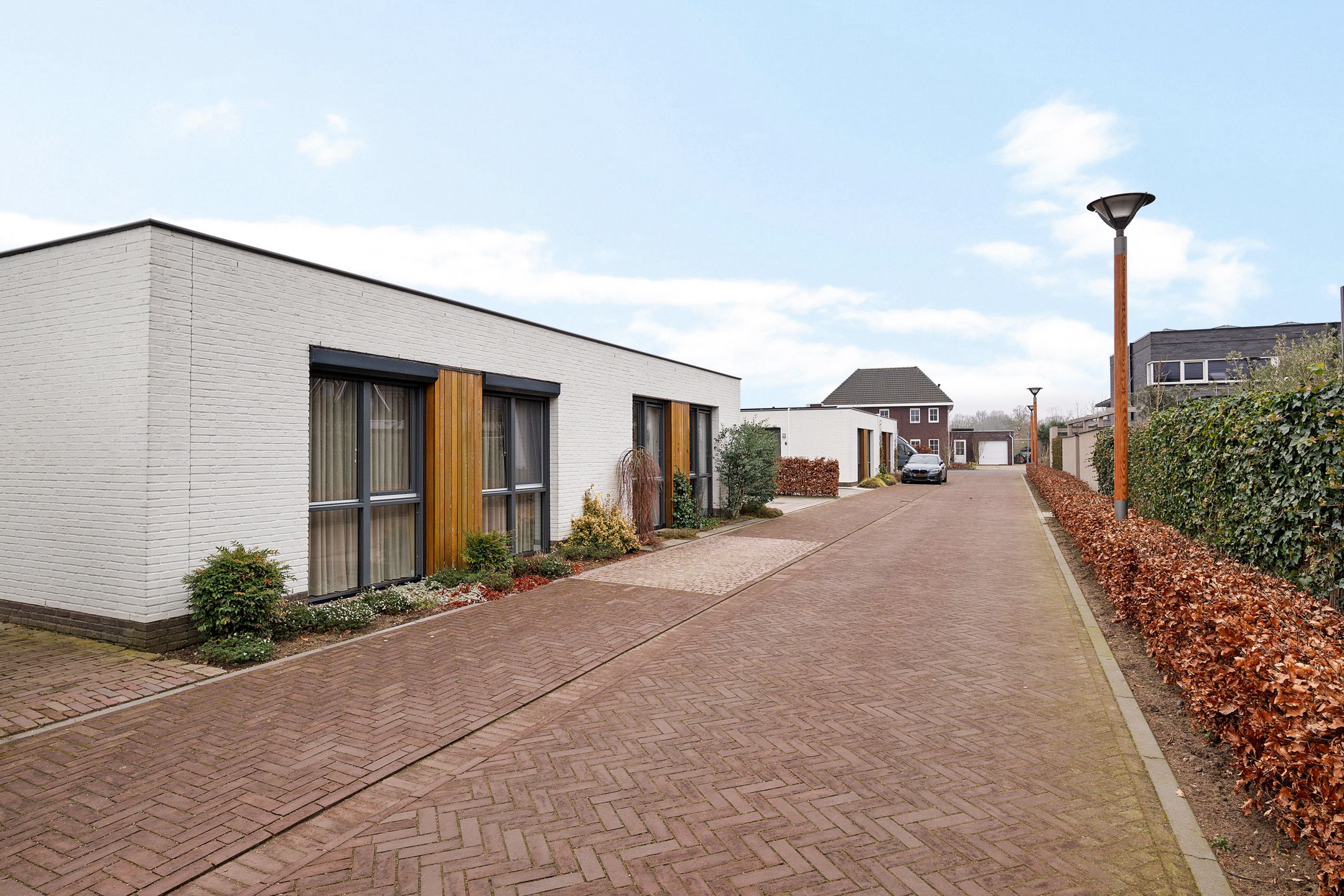 Photo 42 of Teunisbloem 4