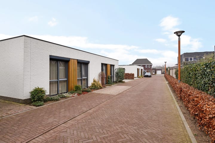 Photo 45 of Teunisbloem 4