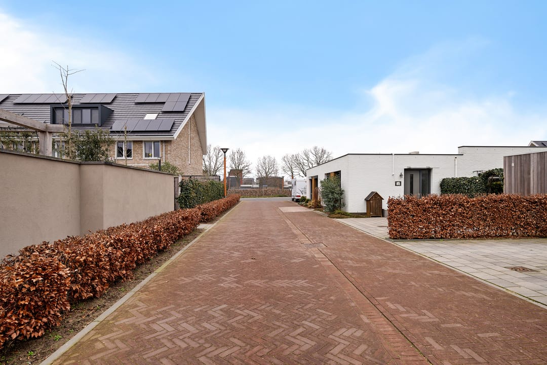 Photo 43 of Teunisbloem 4