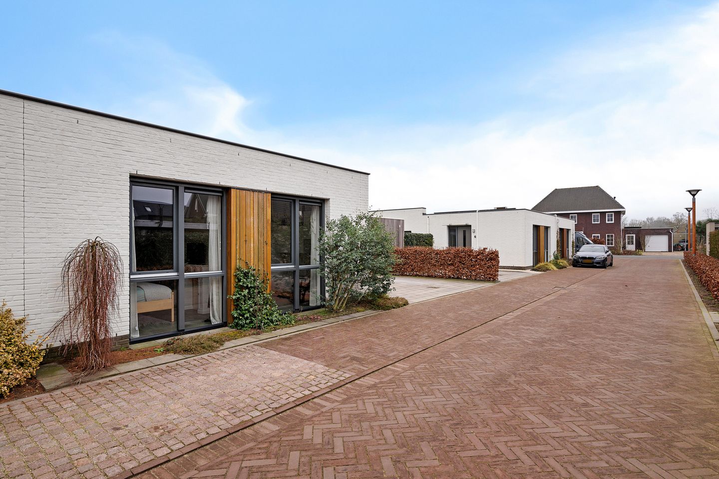 Photo 44 of Teunisbloem 4