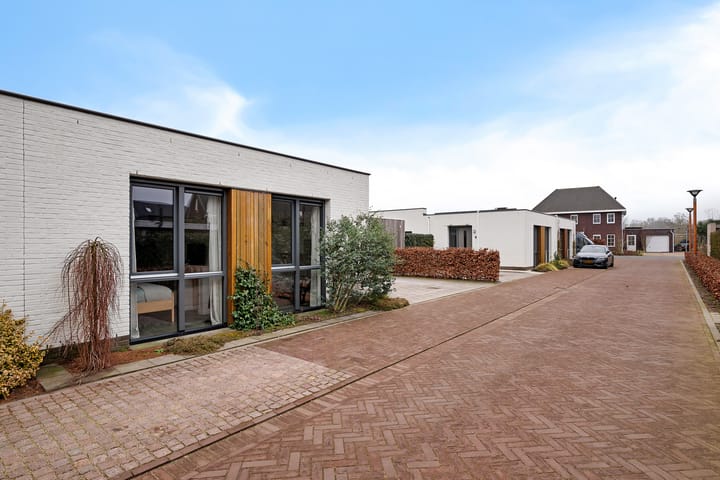 Photo 47 of Teunisbloem 4