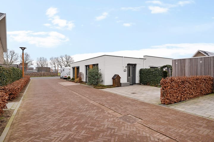 Photo 48 of Teunisbloem 4