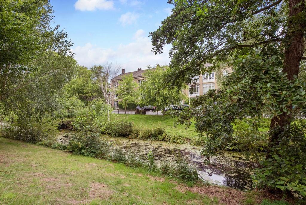 Foto 40 van Hart Nibbrigkade 120