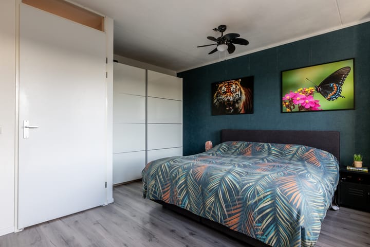 Photo 5 of Burgemeester Snelplein 4