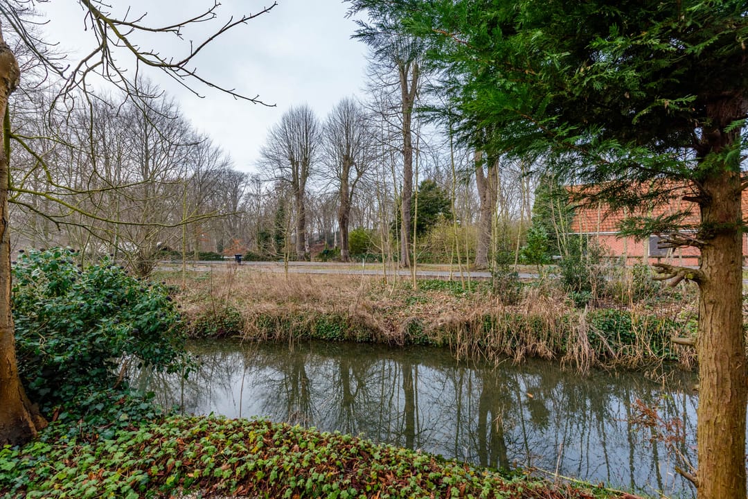 Foto 28 van Bloemveldlaan 59