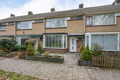 undefined main image