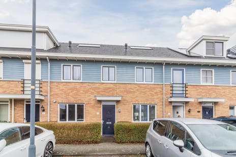 undefined main image