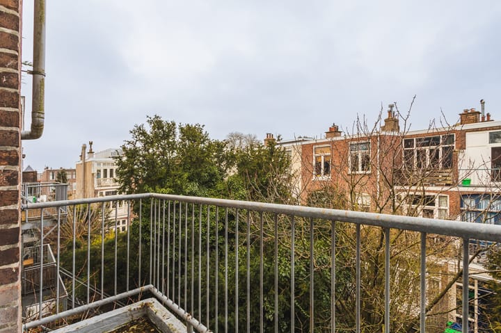 Foto 3 van Laan van Meerdervoort 509