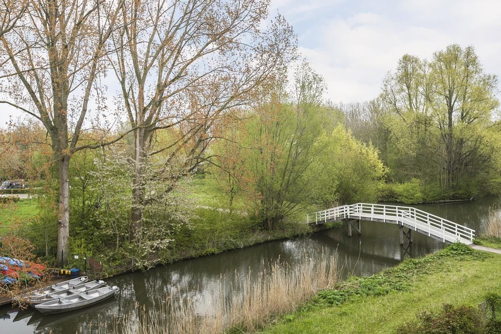 Foto 20 van Weg tot de Wetenschap 15-D