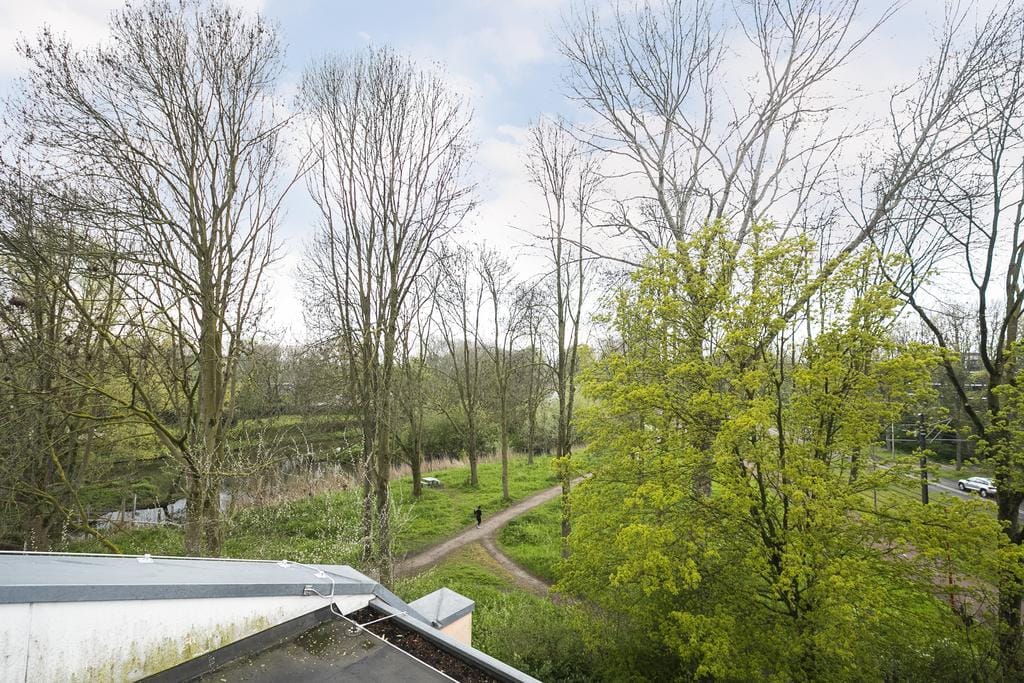 Foto 21 van Weg tot de Wetenschap 15-D