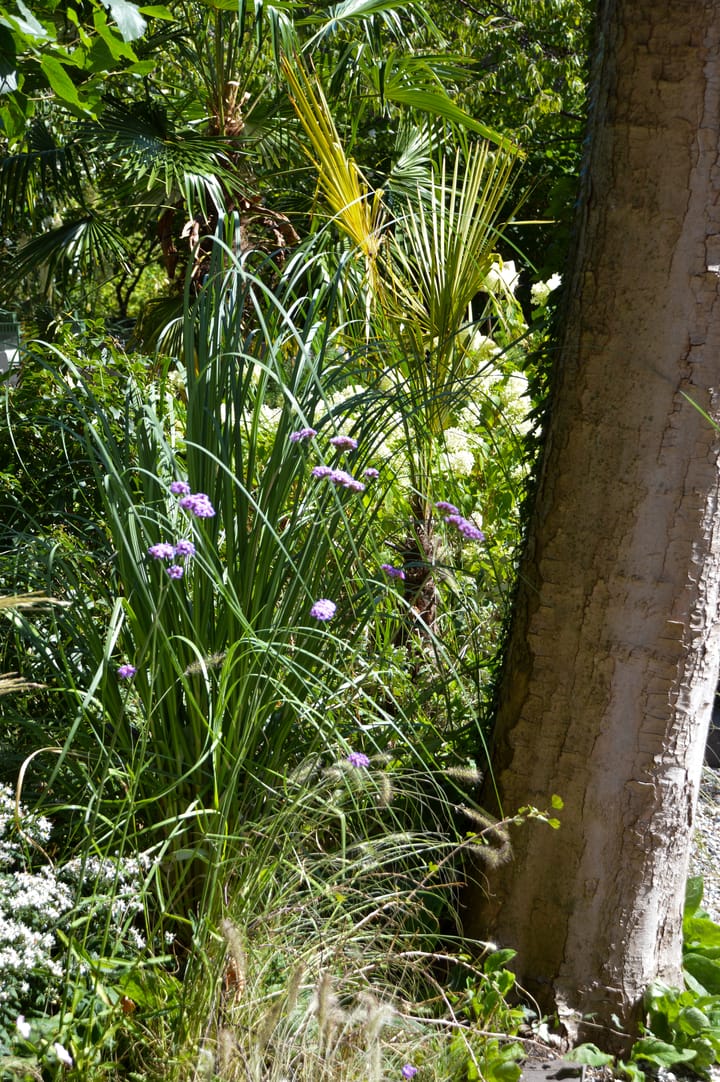 Photo 17 of Surinameplein 10-H