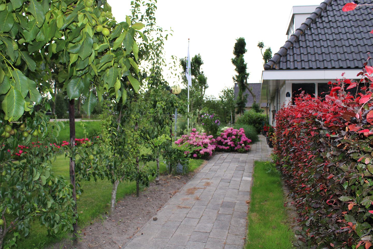 Photo 35 of De Gracht 1