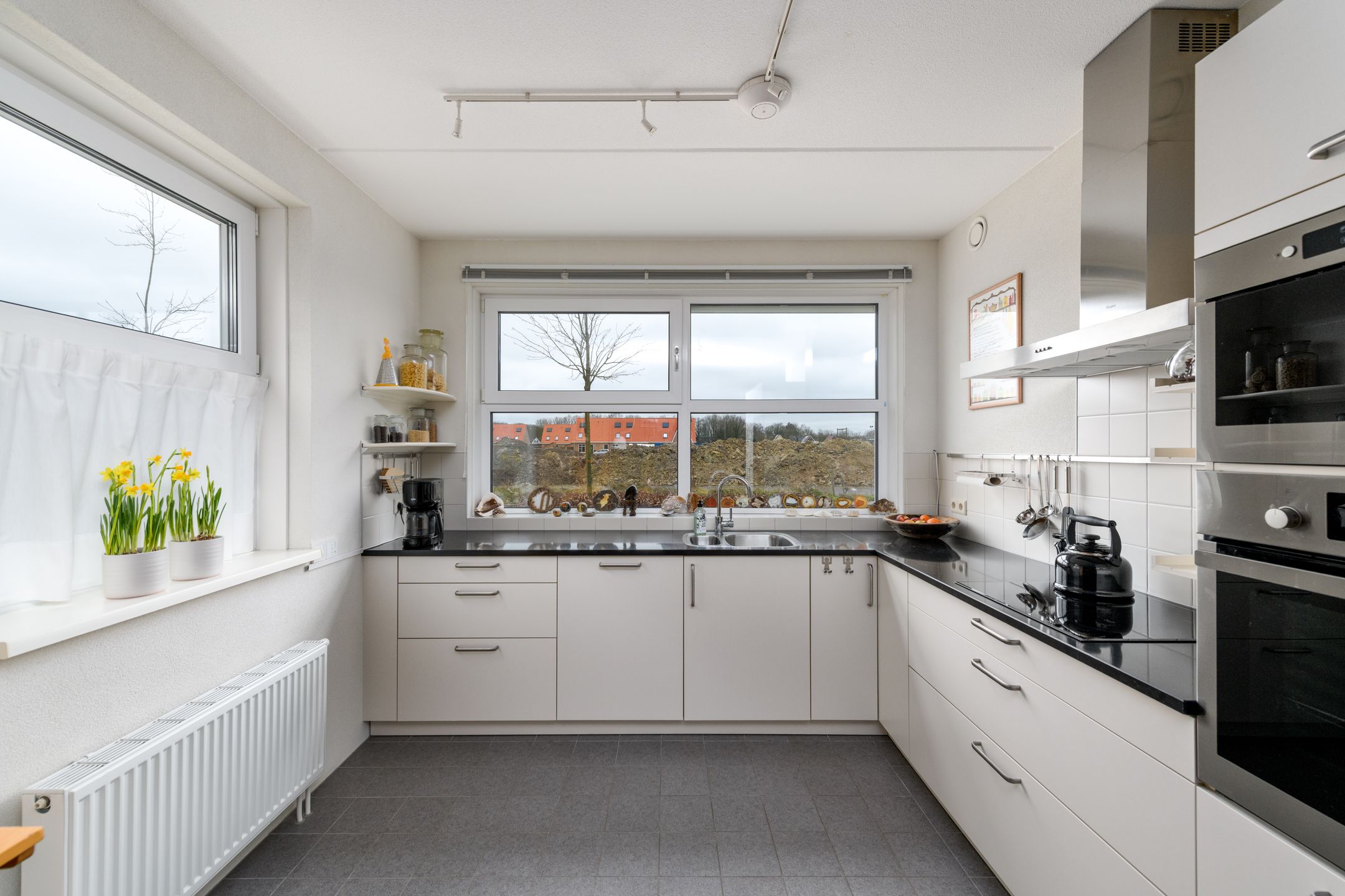 Foto 12 van Distelvlinder 13