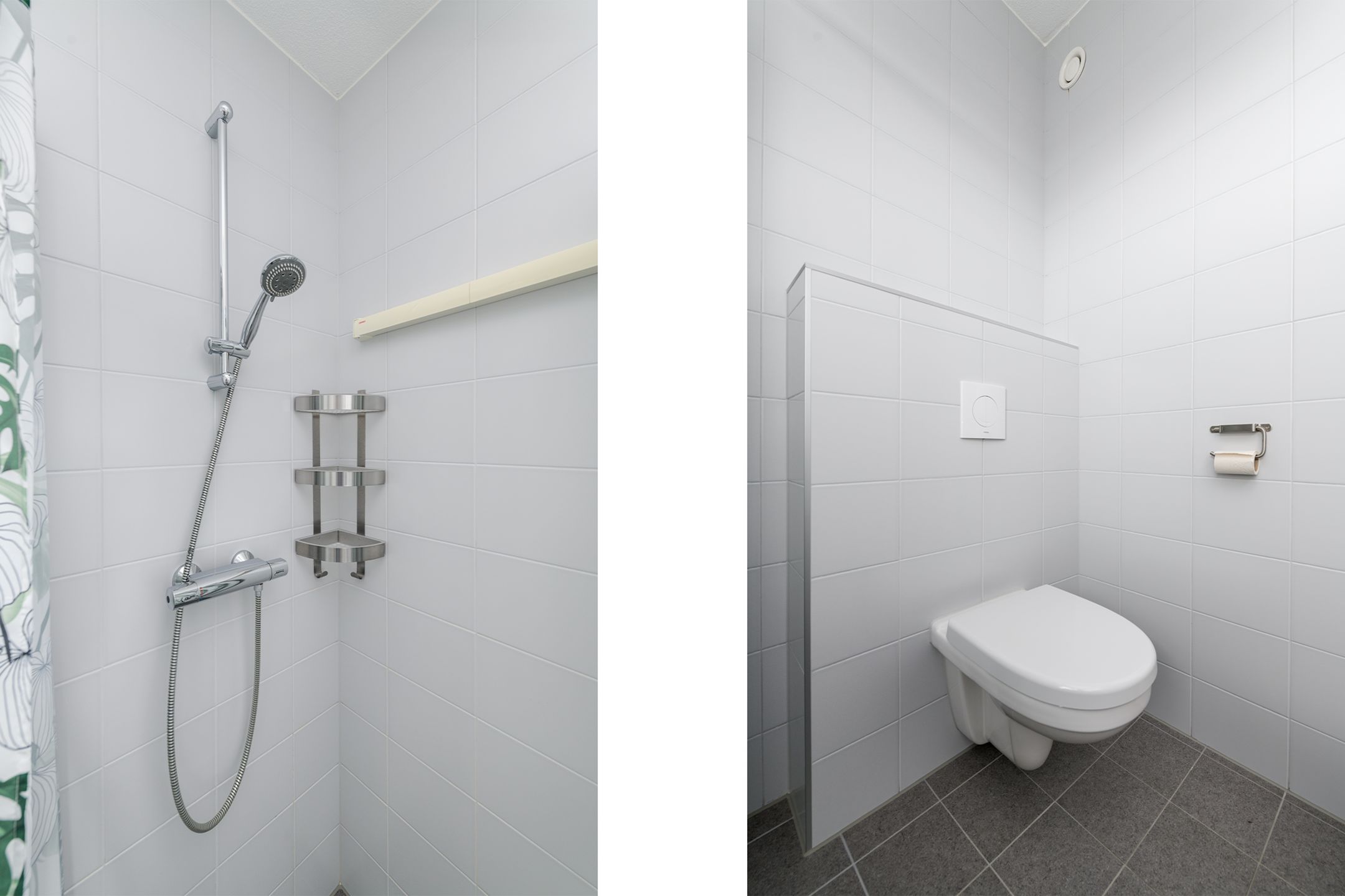 Foto 21 van Distelvlinder 13