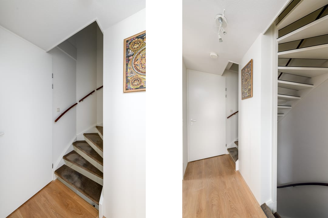 Foto 23 van Distelvlinder 13