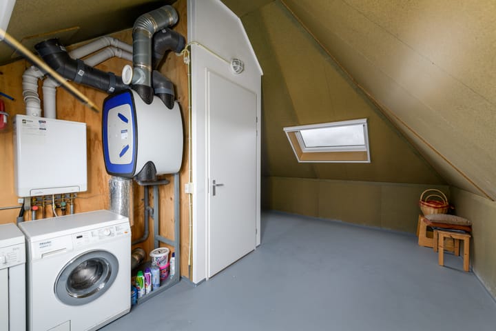 Foto 24 van Distelvlinder 13