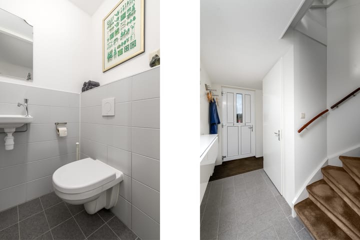 Foto 13 van Distelvlinder 13