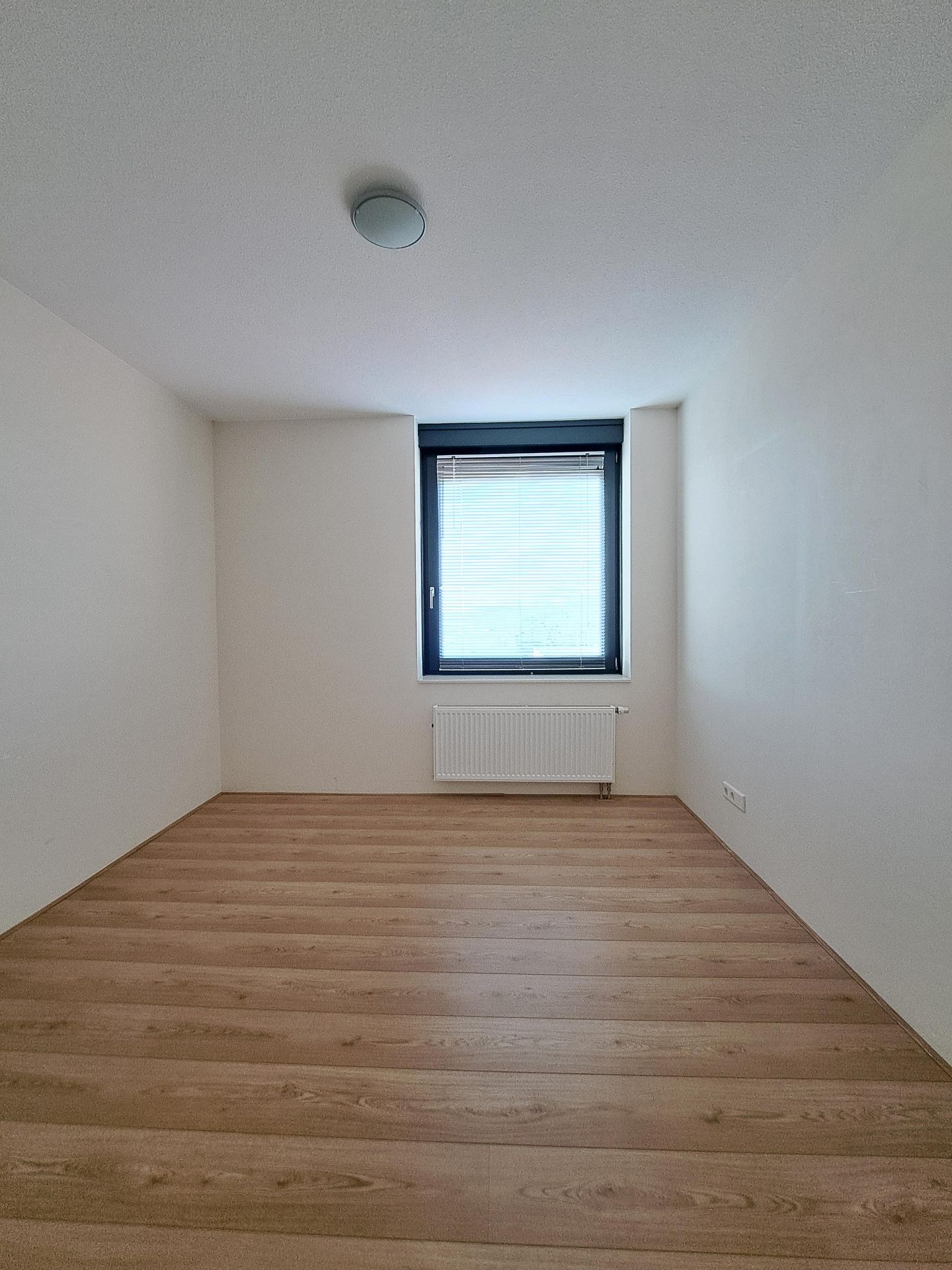 Foto 14 van Houtstraat 47