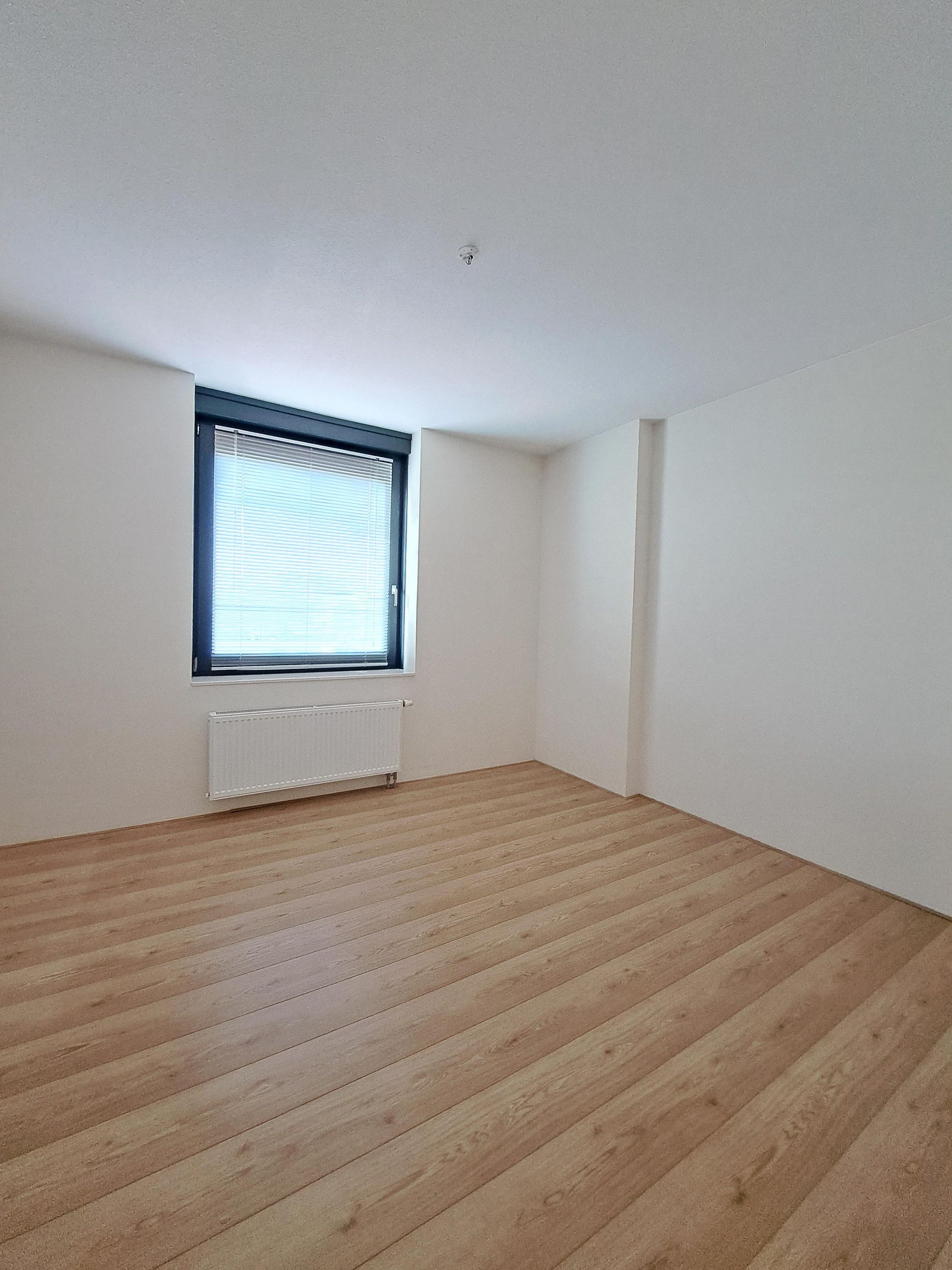 Foto 15 van Houtstraat 47