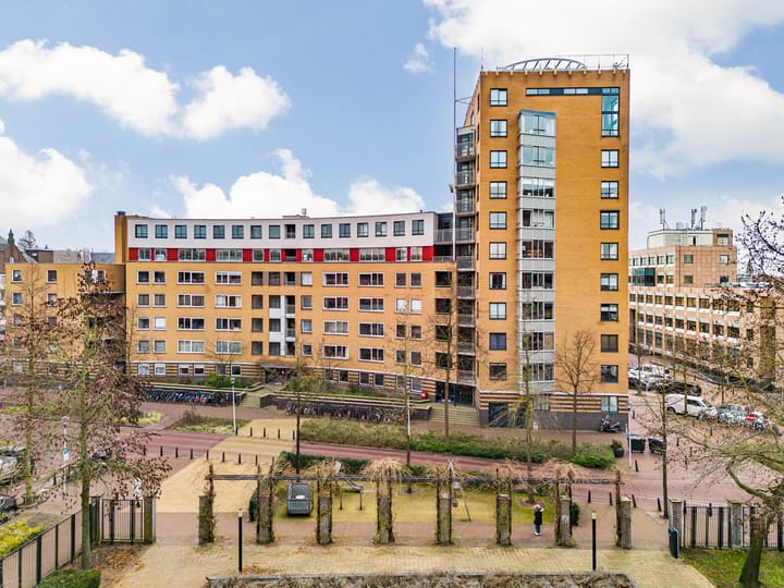 Henriëtte Roland Holststraat 114