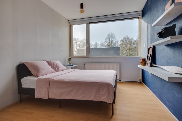 Photo 21 of Albast 2