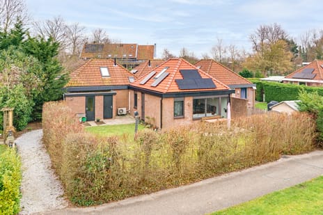 undefined main image