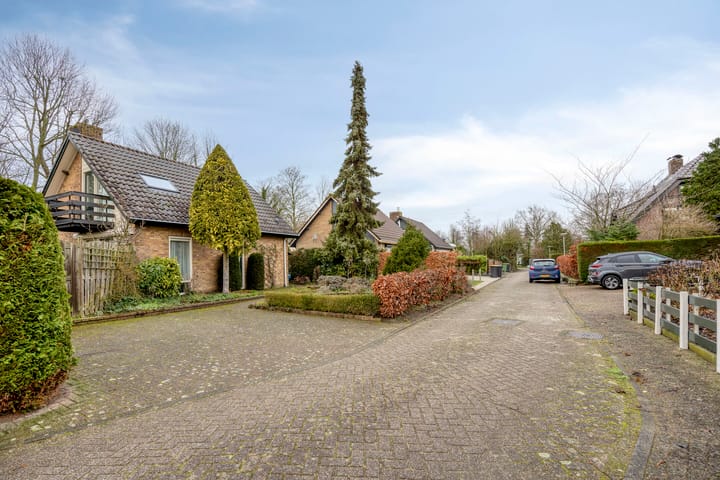 Foto 4 van Hoogerwerfsweg "De elf Boompjes" 87