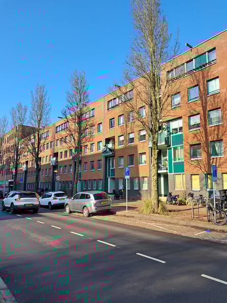 Borneolaan 33