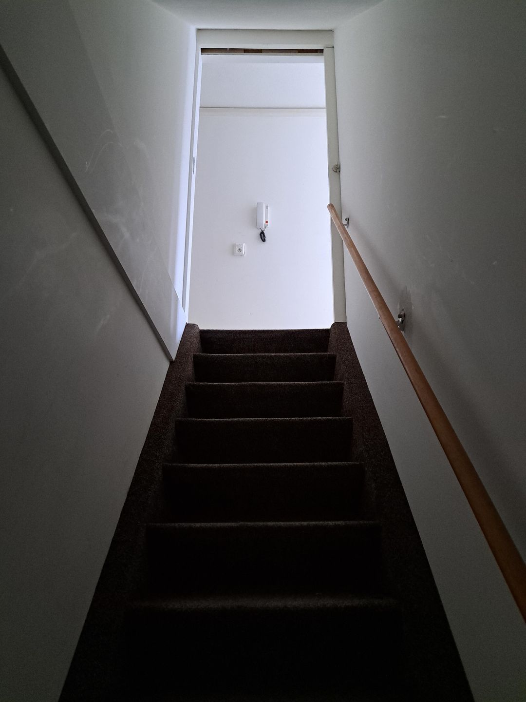 Foto 7 van Borneolaan 33