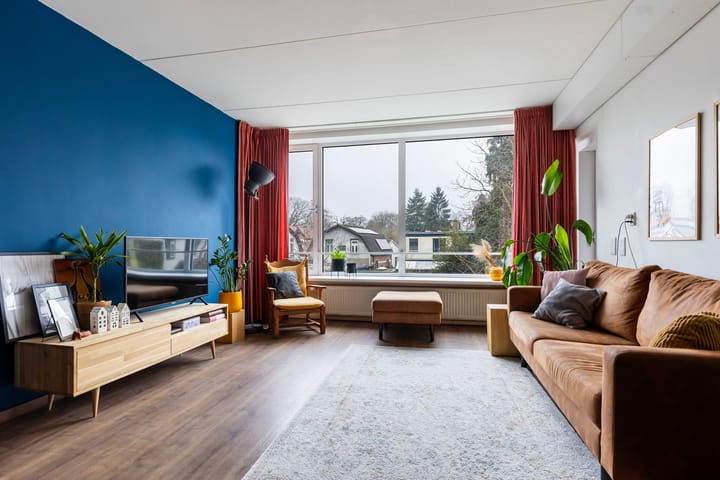 Foto 2 van Loolaan 41-20