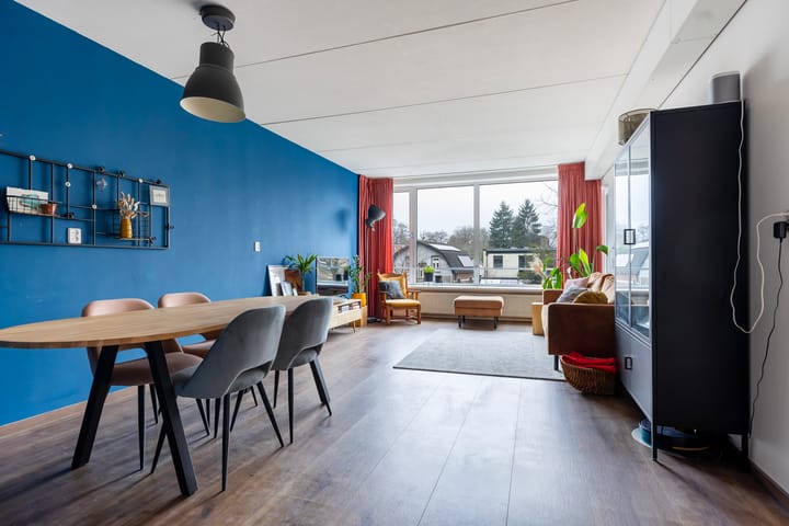 Foto 5 van Loolaan 41-20