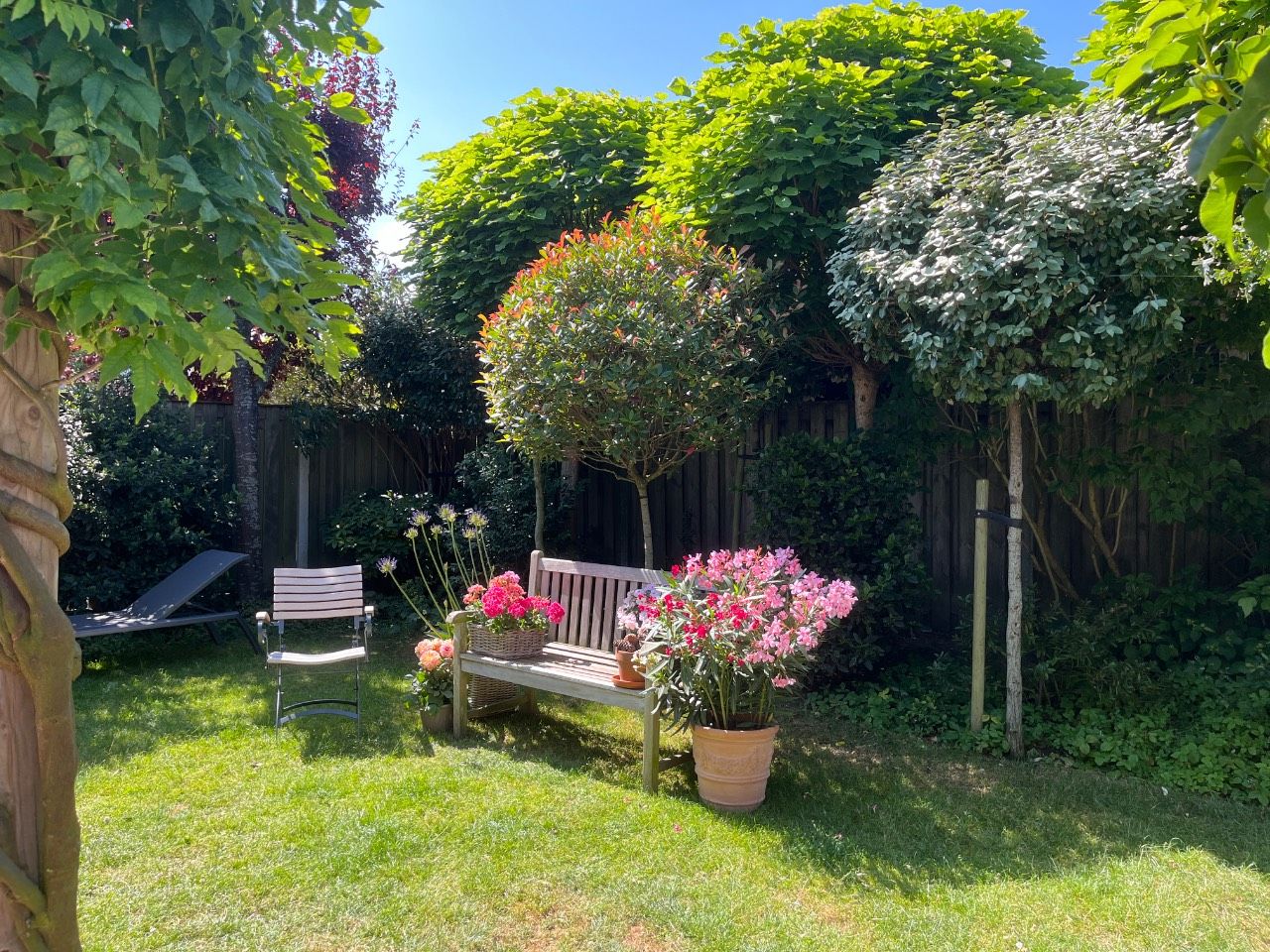 Foto 5 van Wolfertlaan 4