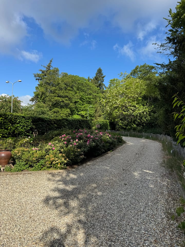 Foto 26 van Naarderstraat 80