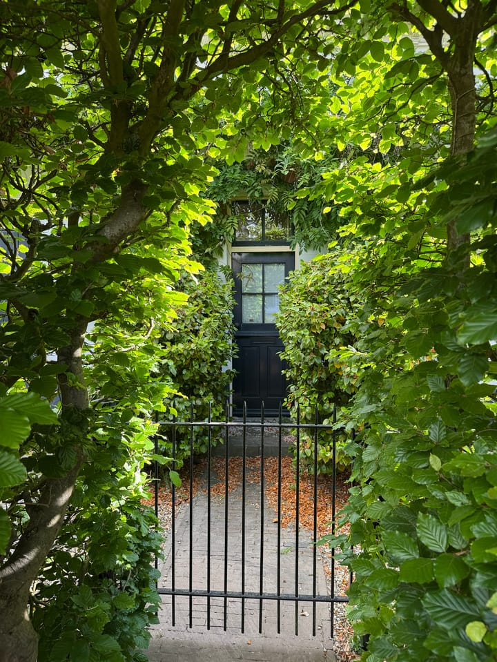 Foto 30 van Naarderstraat 80