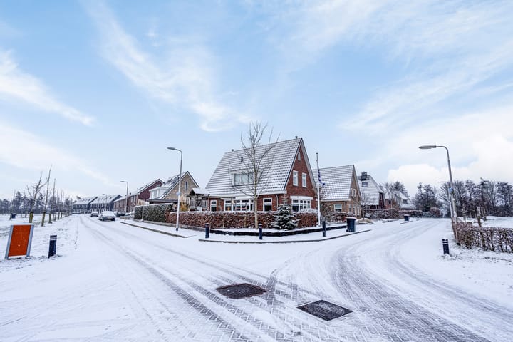 Foto 2 van Binnenkruier 1